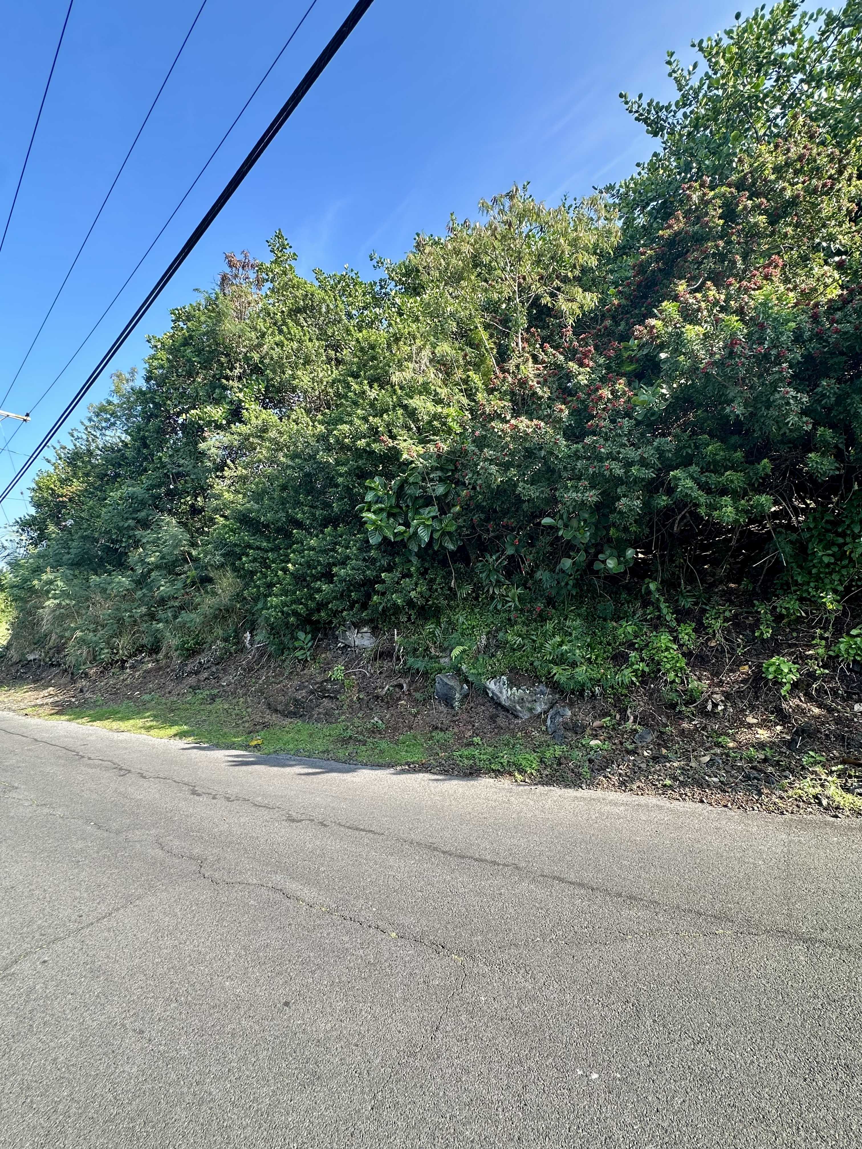 Captain Cook, HI 96704,KAOHE RD #Lot 12