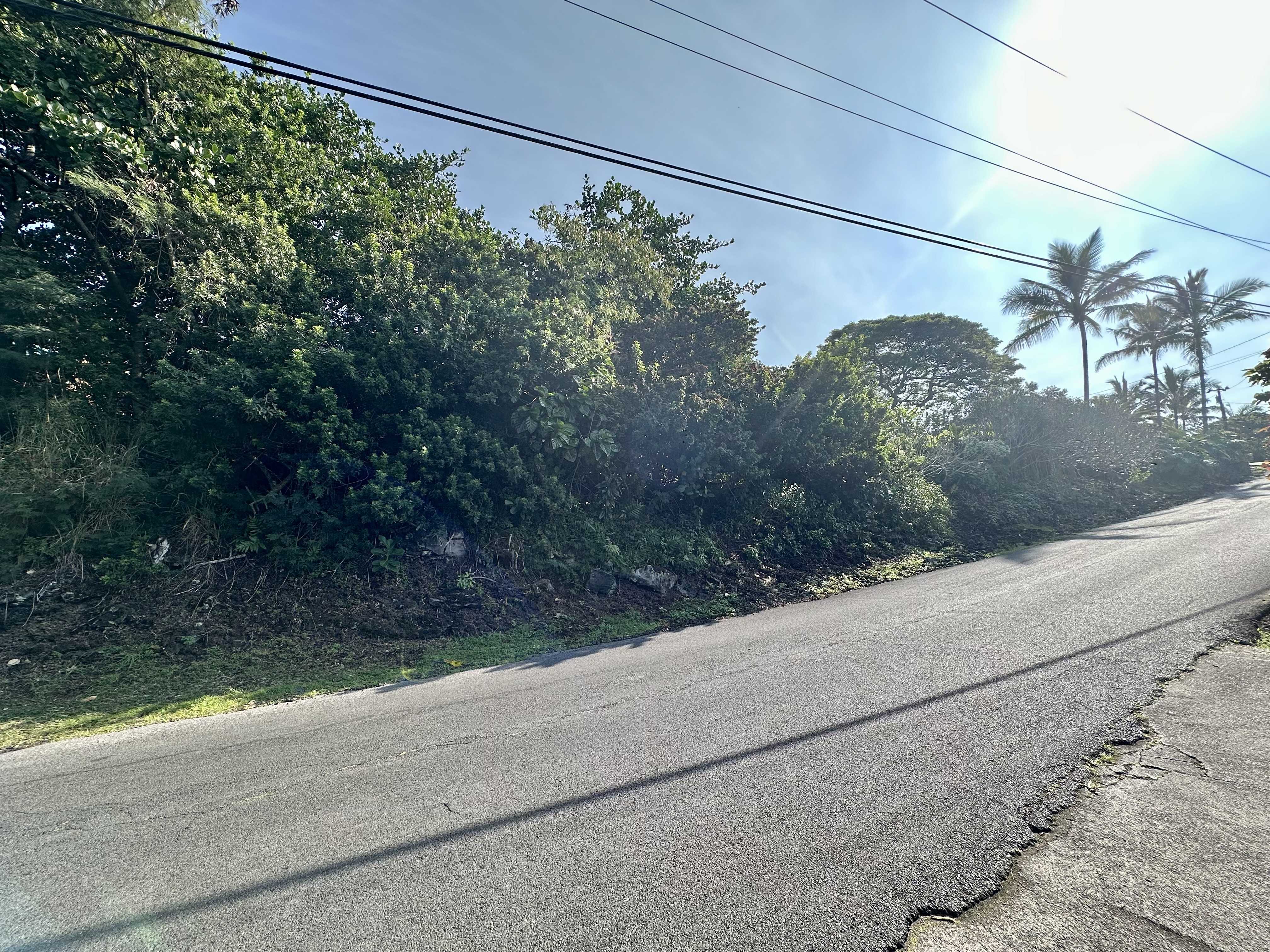 Captain Cook, HI 96704,KAOHE RD #Lot 12