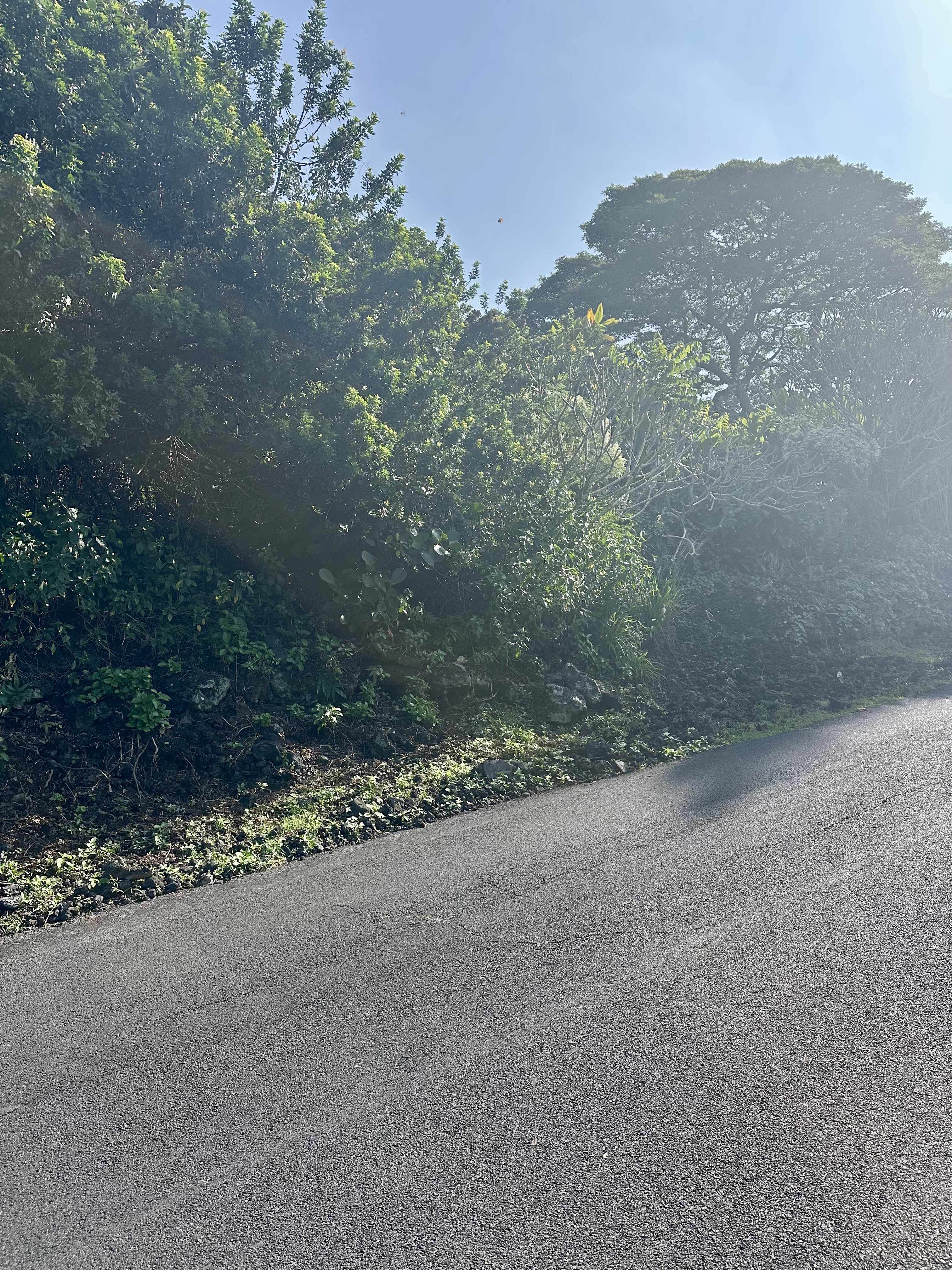 Captain Cook, HI 96704,KAOHE RD #Lot 12