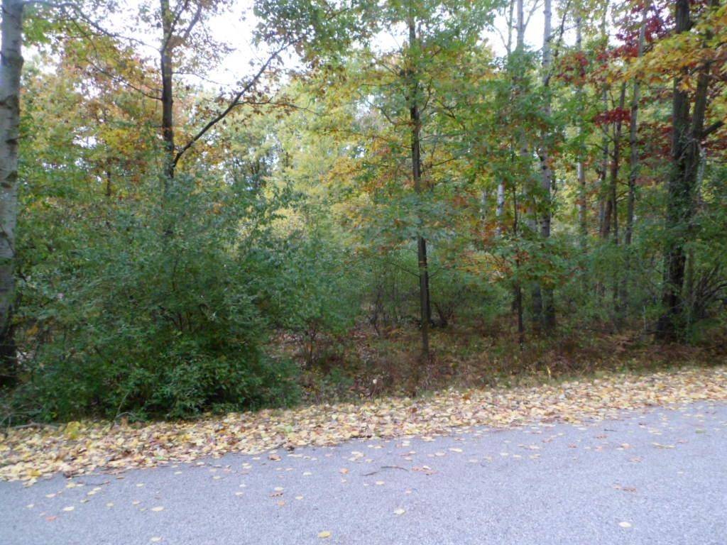 Lake Isabella, MI 48893,1013 & 1015 Granada DR