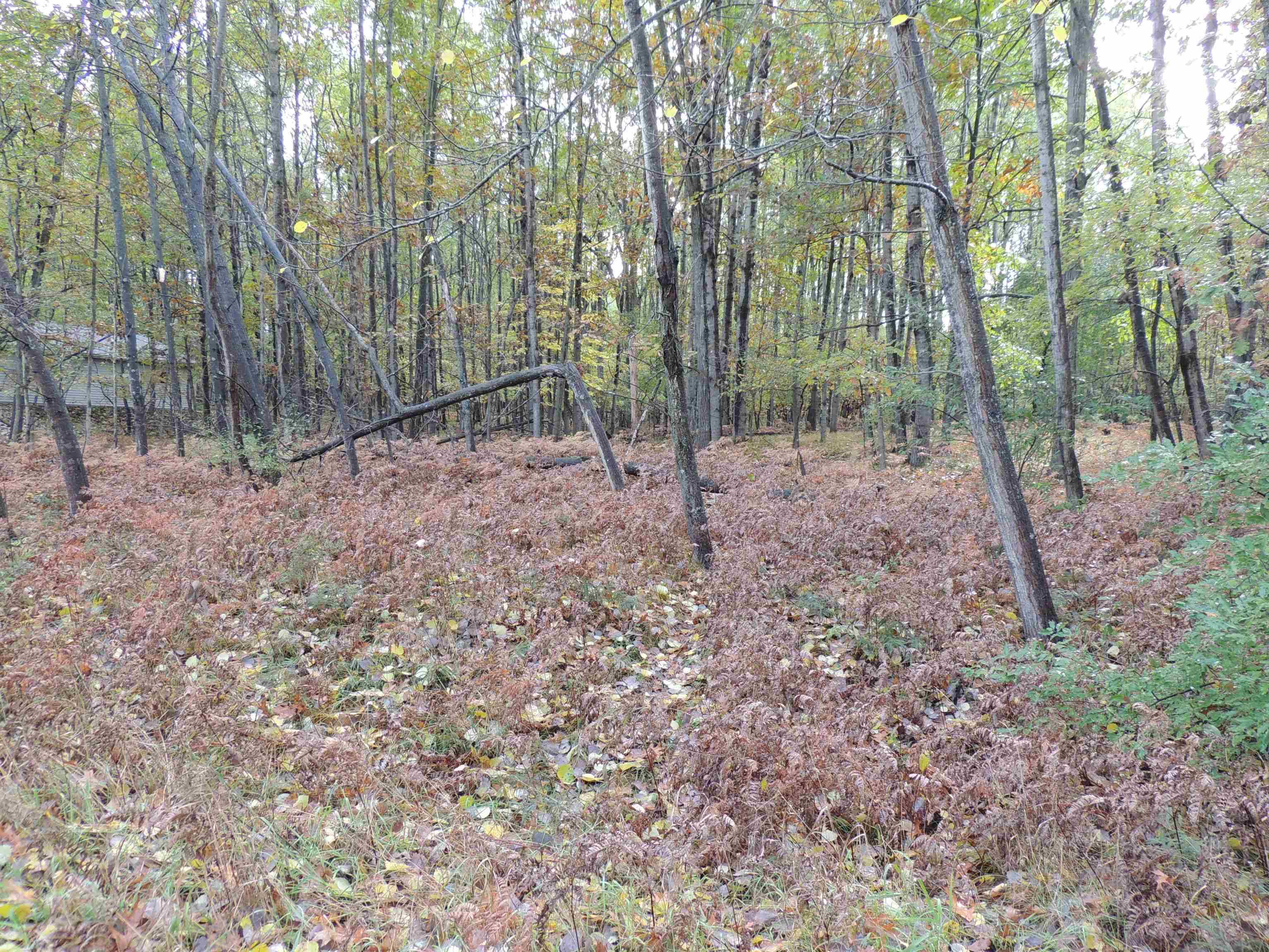 Lake Isabella, MI 48893,1013 & 1015 Granada DR