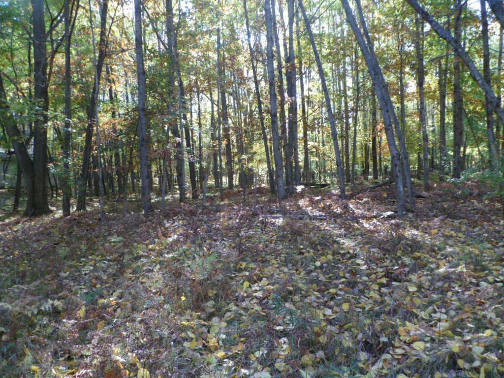 Lake Isabella, MI 48893,1014 Granada DR