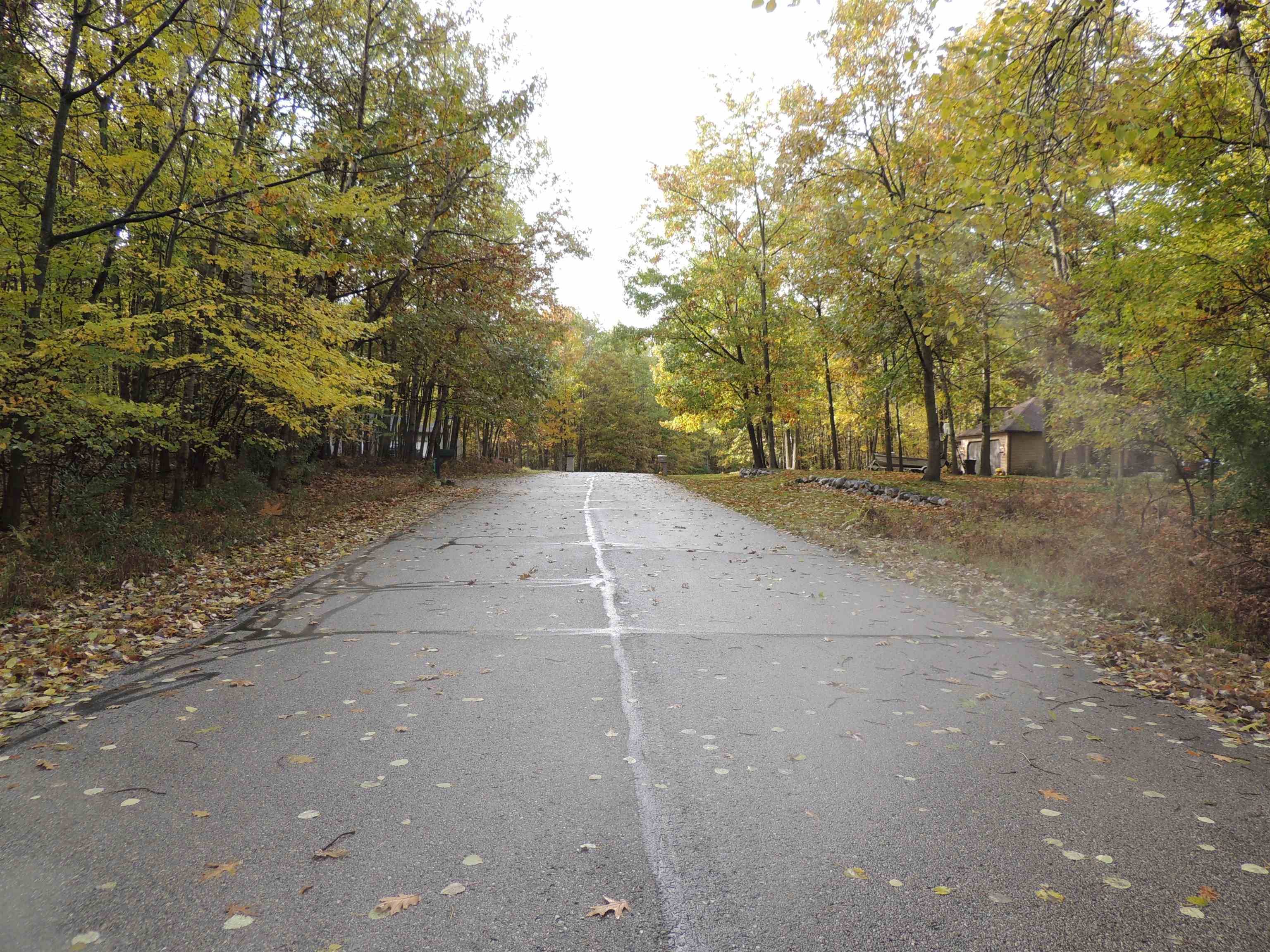 1014 Granada DR, Sherman Twp, MI 48893