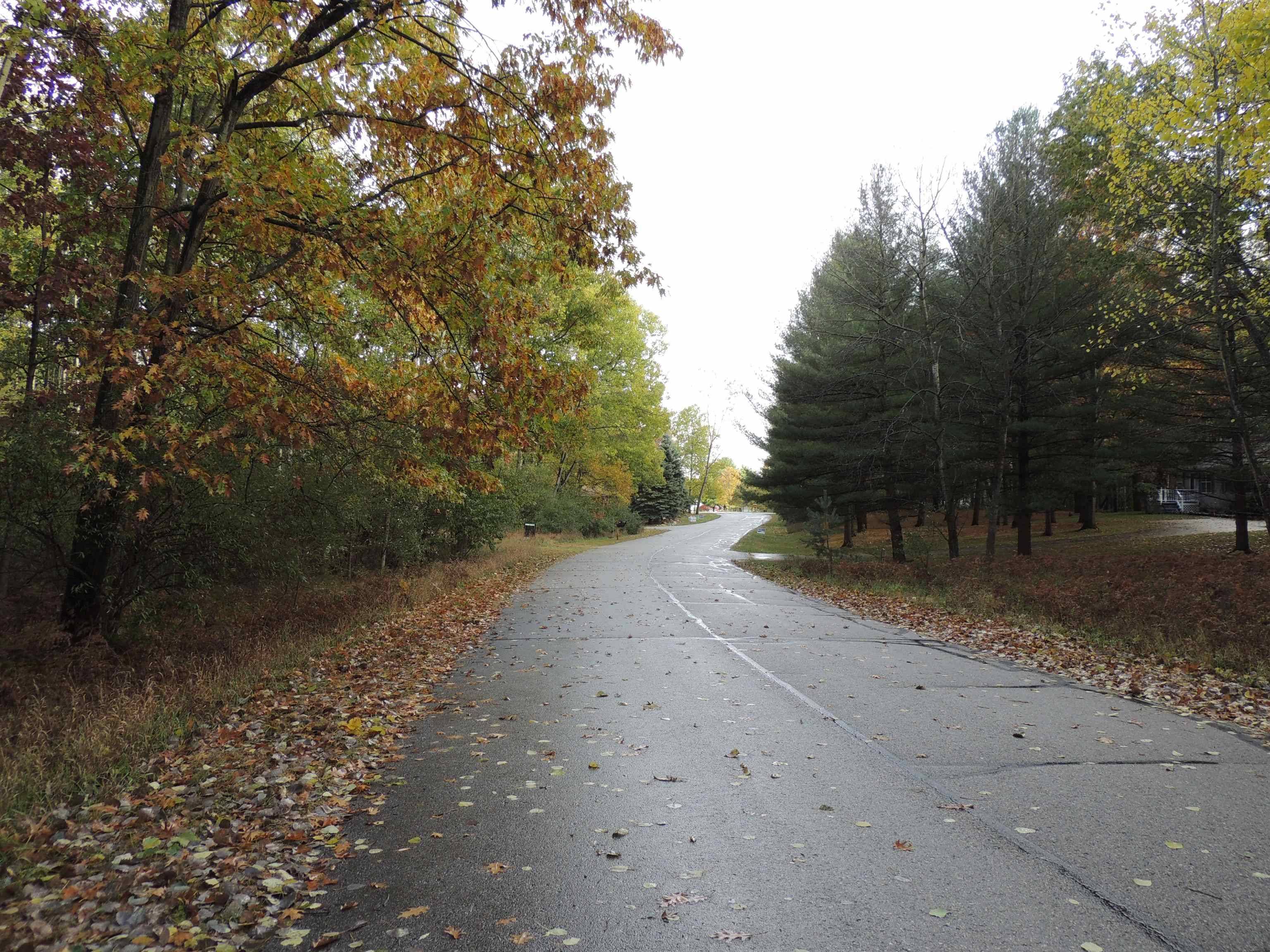 1014 Granada DR, Sherman Twp, MI 48893