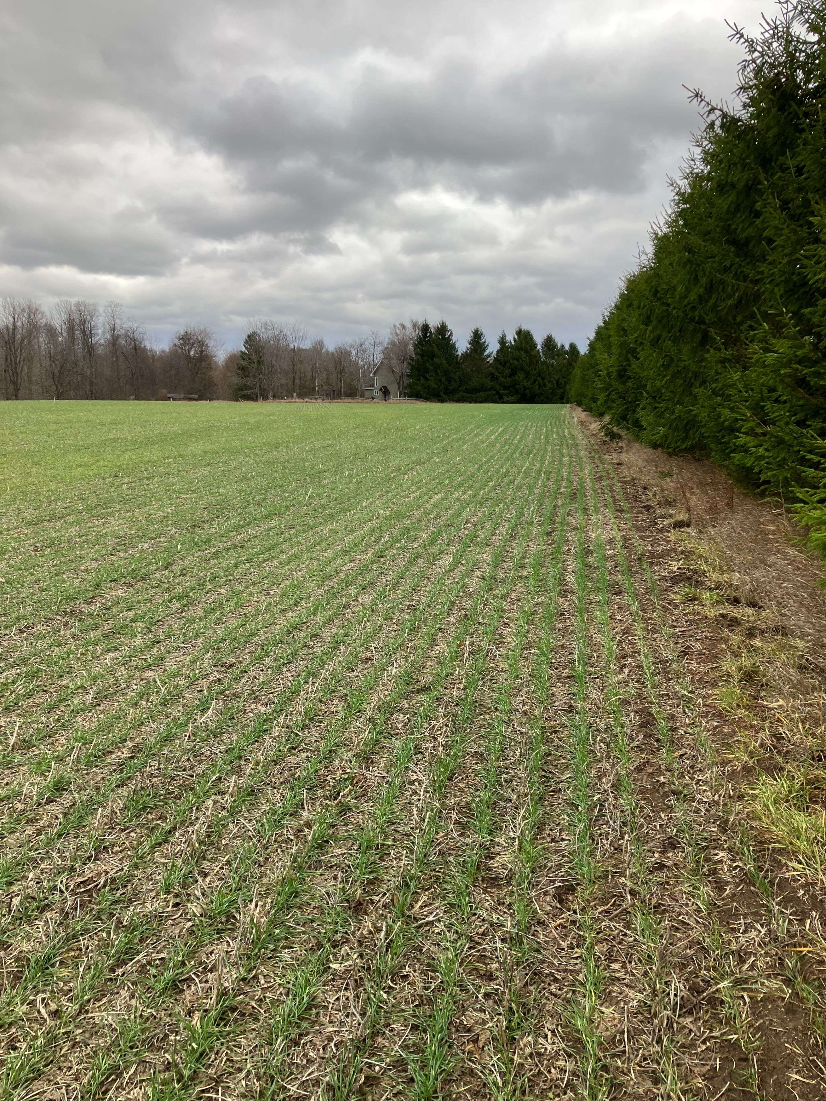 Lucan Biddulph, ON N0M 2J0,PtLot26 Prince William ST