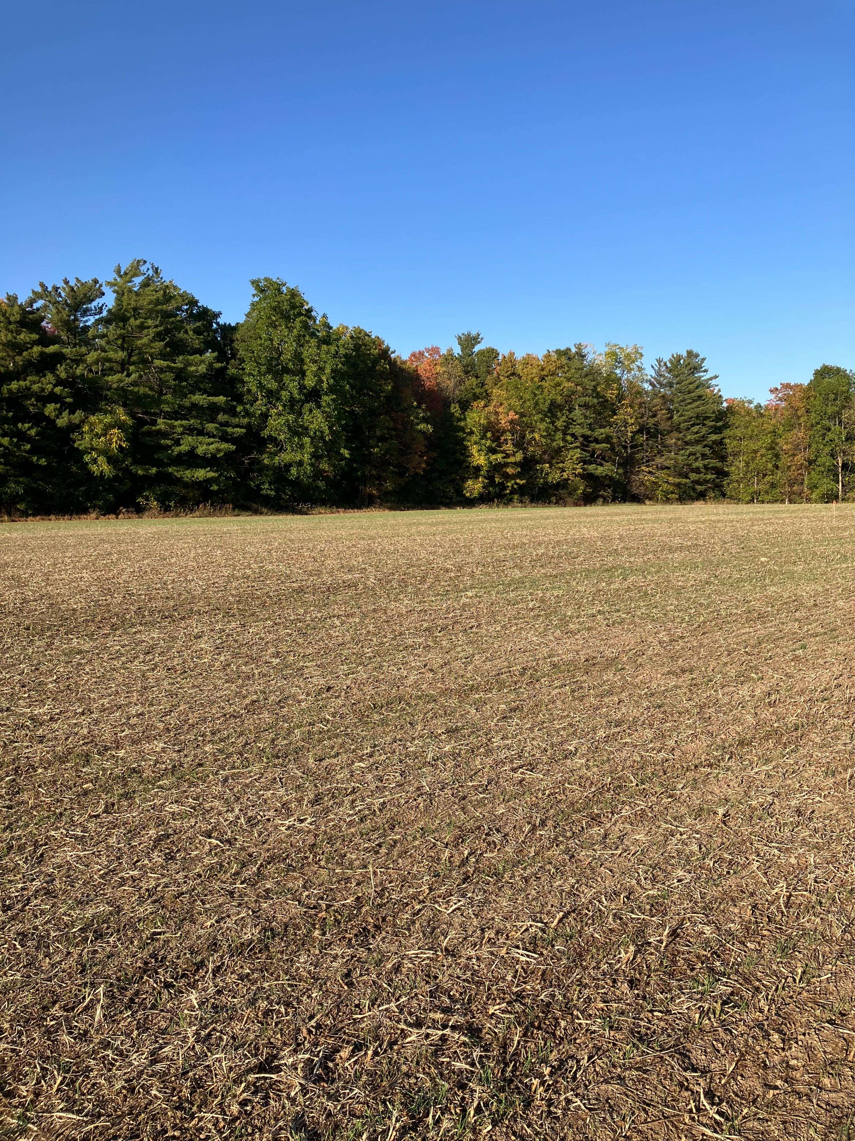 Lucan Biddulph, ON N0M 2J0,PtLot26 Prince William ST