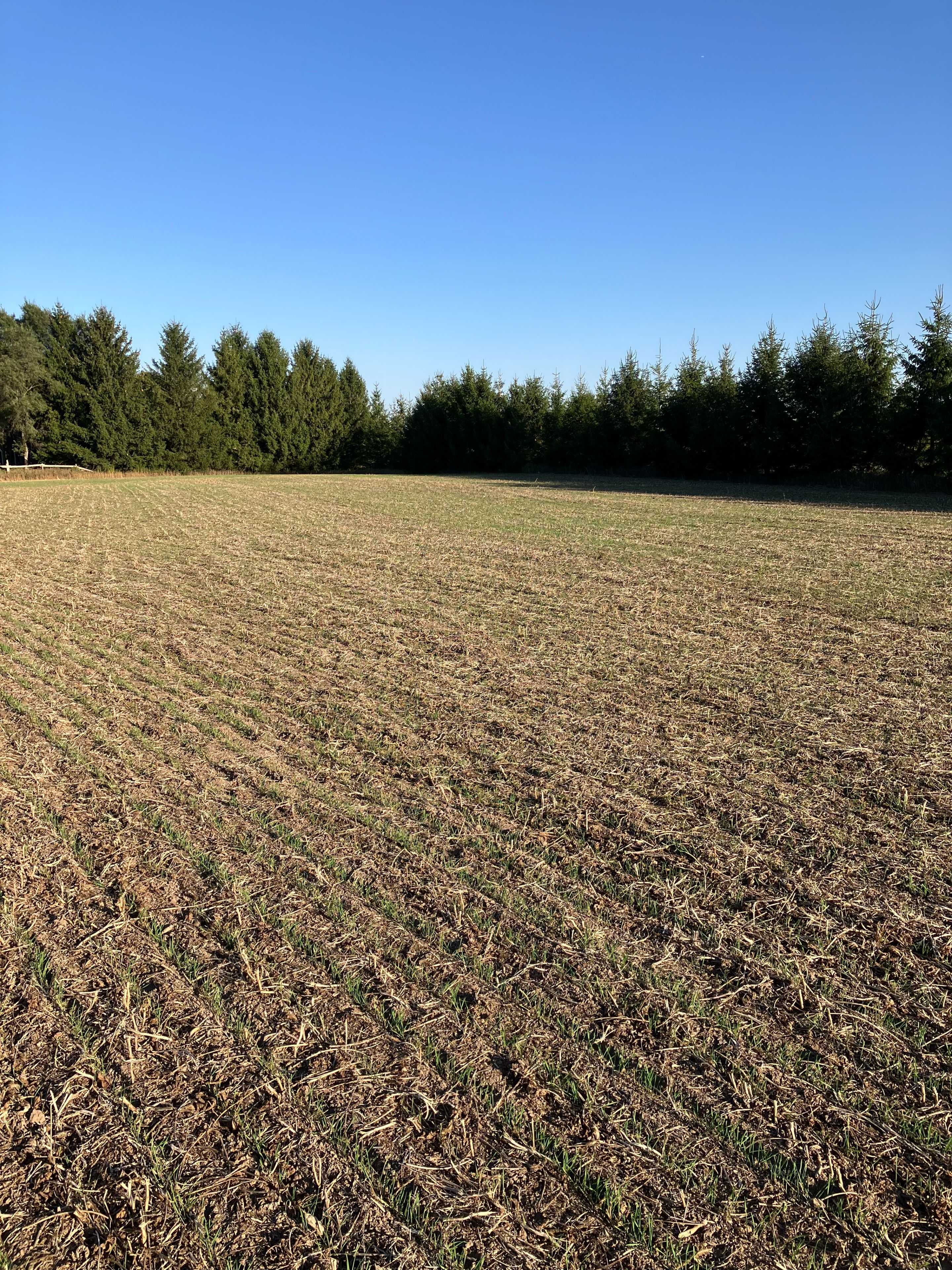 Lucan Biddulph, ON N0M 2J0,PtLot26 Prince William ST