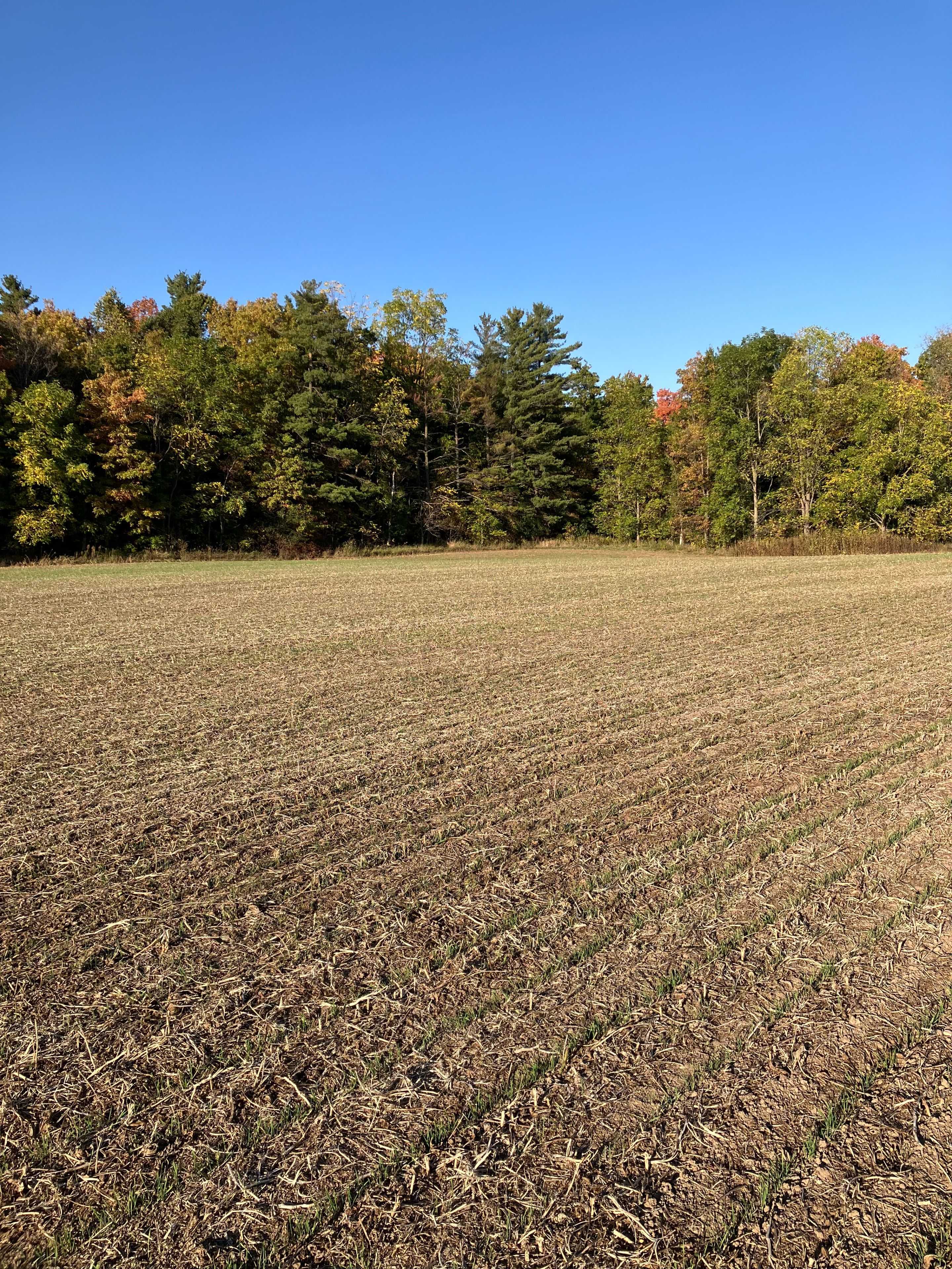 Lucan Biddulph, ON N0M 2J0,PtLot26 Prince William ST