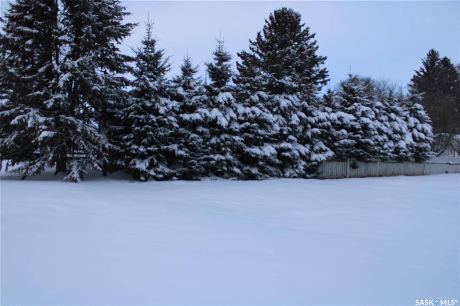 Saltcoats, SK S0A 3R0,303 Allan AVENUE