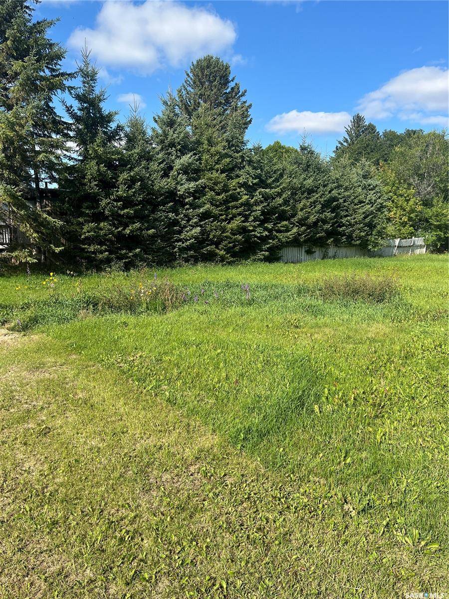 Saltcoats, SK S0A 3R0,303 Allan AVENUE