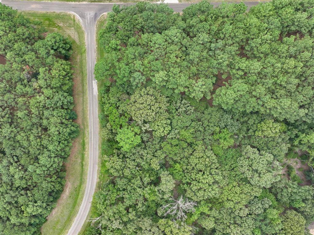 Larue, TX 75770,8301 Trophy Pointe