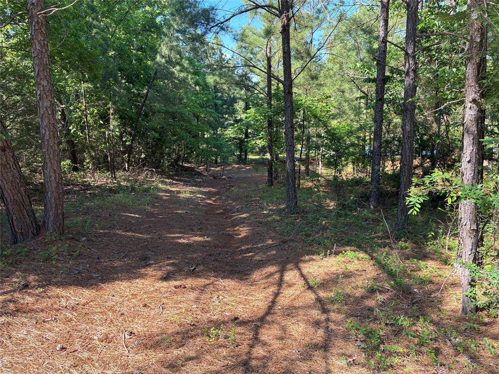 Ben Wheeler, TX 75754,450 Vz County Road 4814