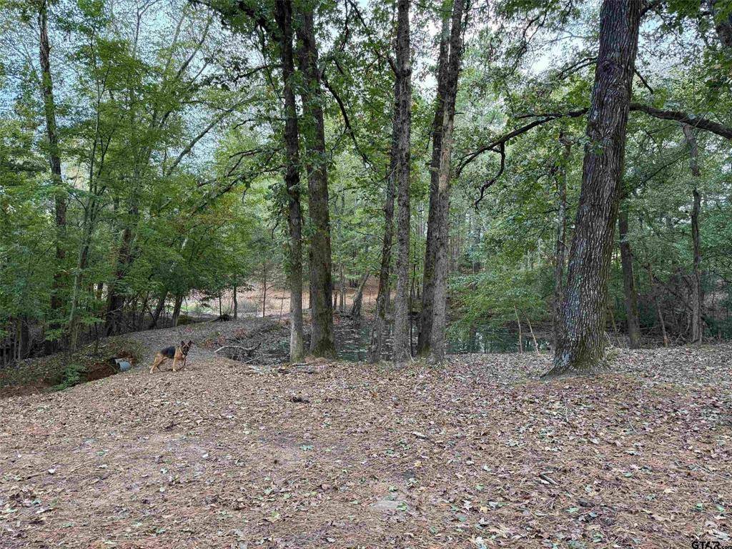 Flint, TX 75762,12670 County Road 168