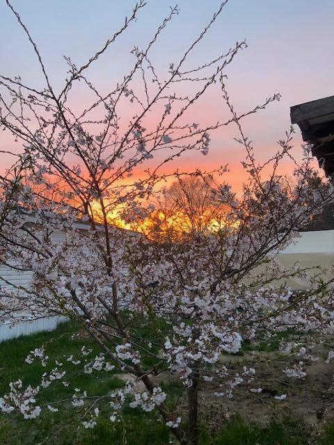 Holton, MI 49425,3517 Pinewood TRL