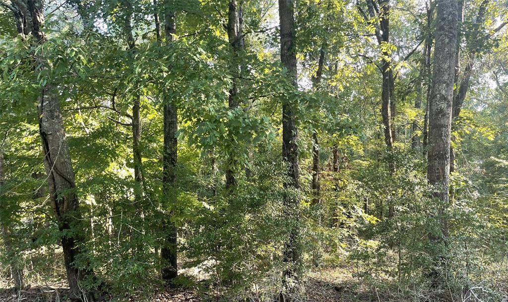 Keithville, LA 71047,0 Shane Lane