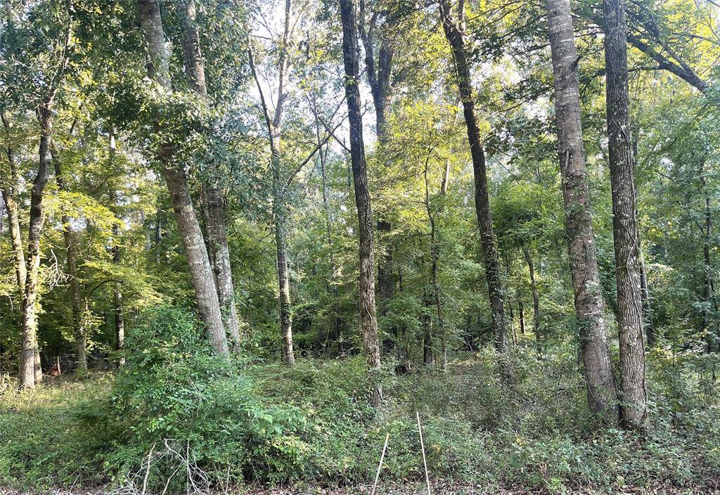 Keithville, LA 71047,0 Shane Lane