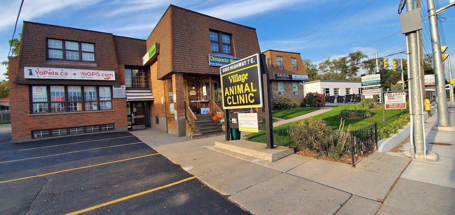 Markham, ON L3P 3A9,6060 Highway 7 E N/A #LL-B