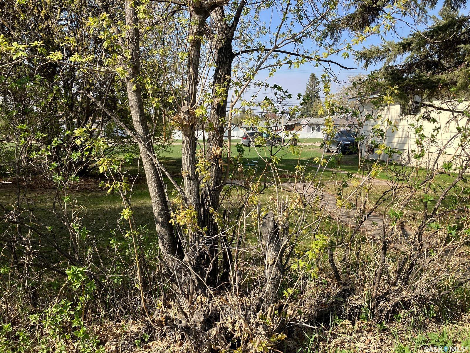 Nipawin, SK S0E 1E0,307 Nipawin ROAD E