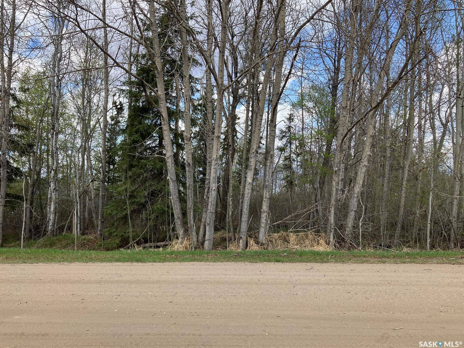 Nipawin, SK S0E 1E0,105 Spruce AVENUE W