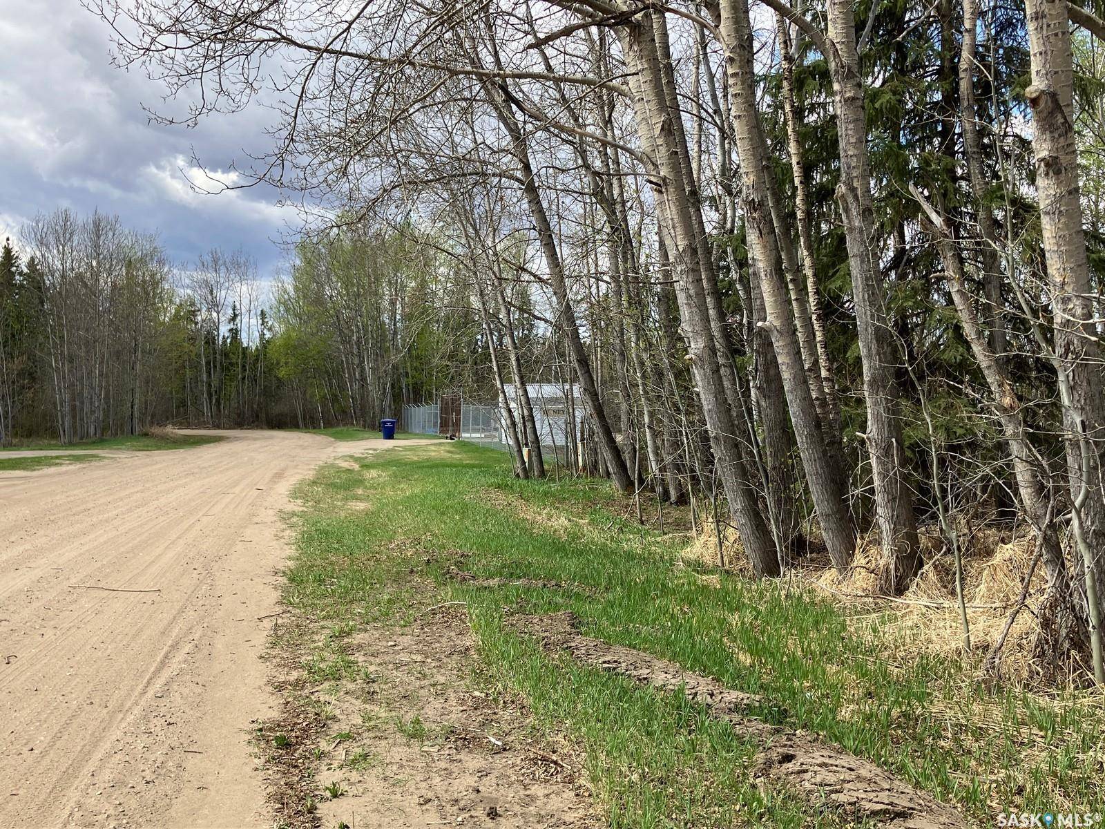 Nipawin, SK S0E 1E0,105 Spruce AVENUE W