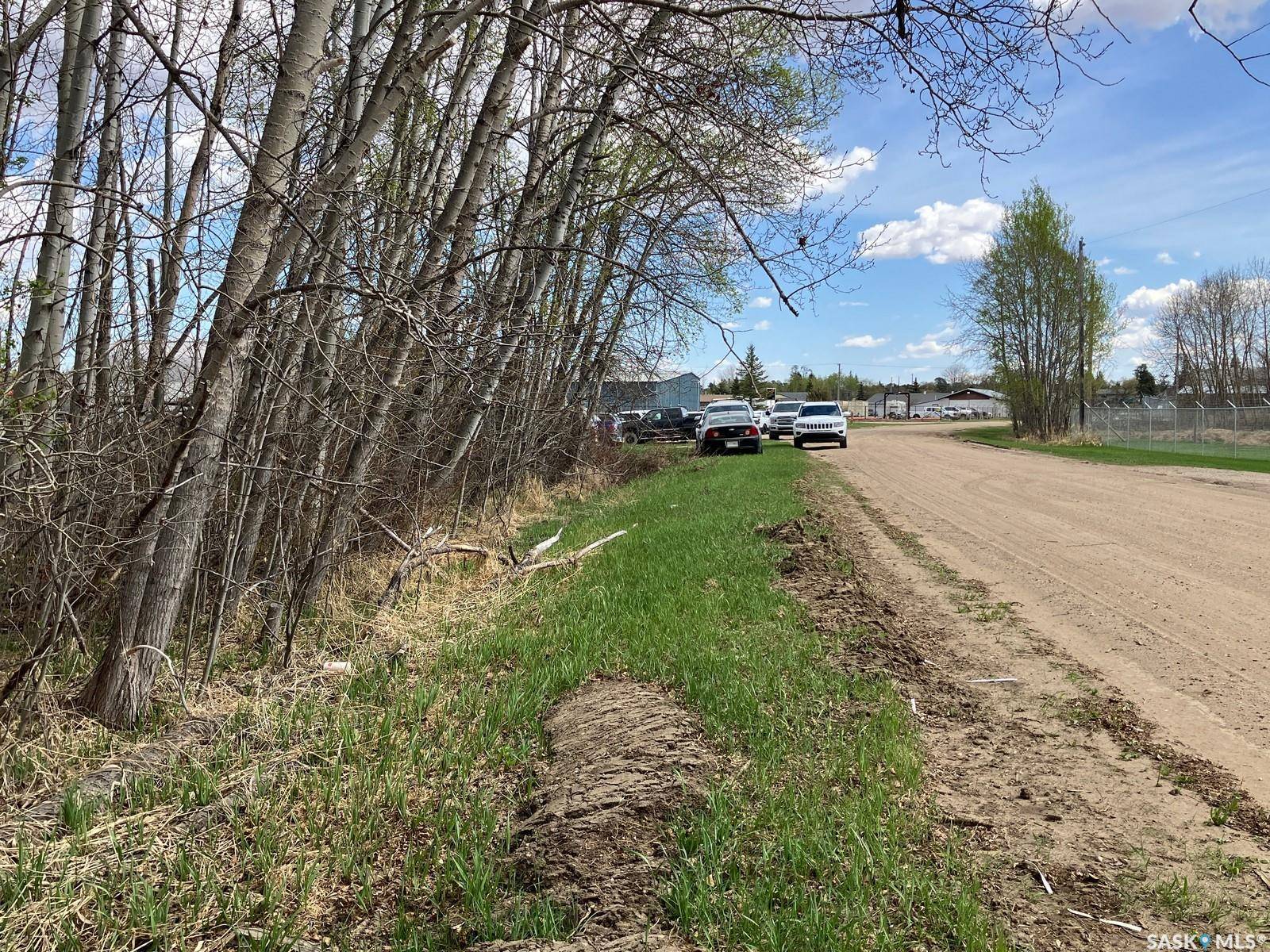 Nipawin, SK S0E 1E0,105 Spruce AVENUE W