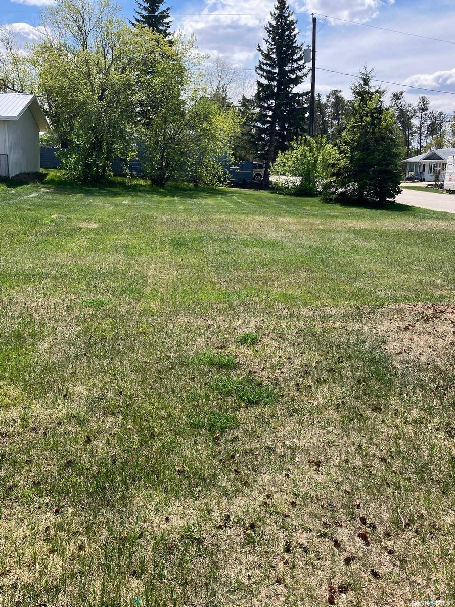 Nipawin, SK S0E 1E0,622 Maple ROAD W