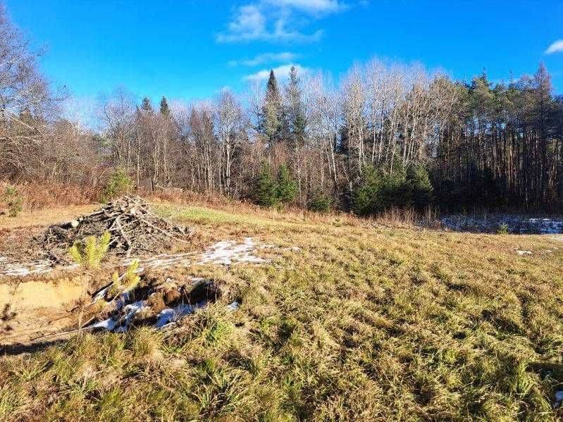 Armour, ON P0A 1J0,109 Three Mile Lake RD