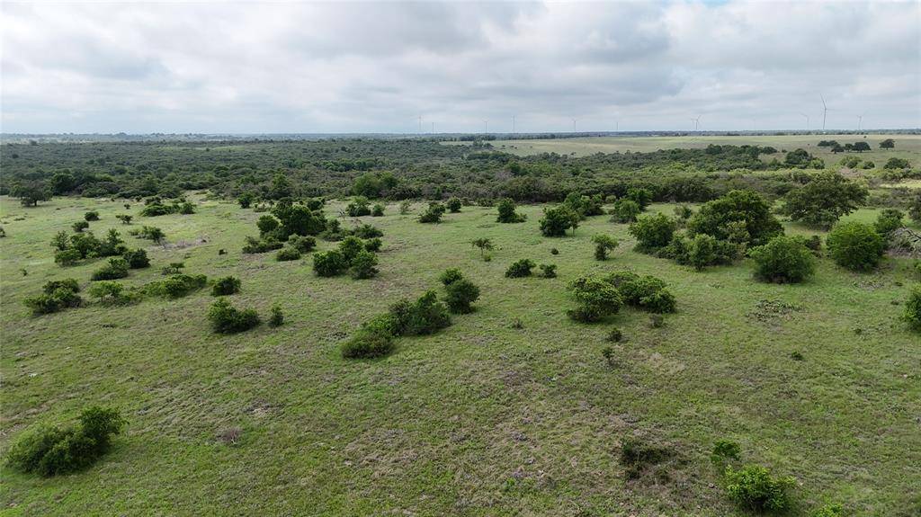 Goldthwaite, TX 76442,Lot 51 County Road 242