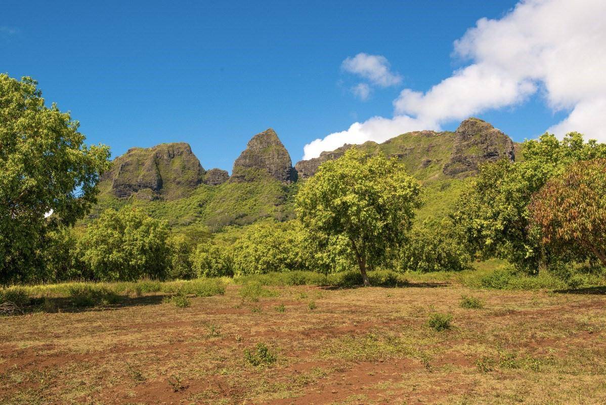 Anahola, HI 96746,1 HUI RD #1