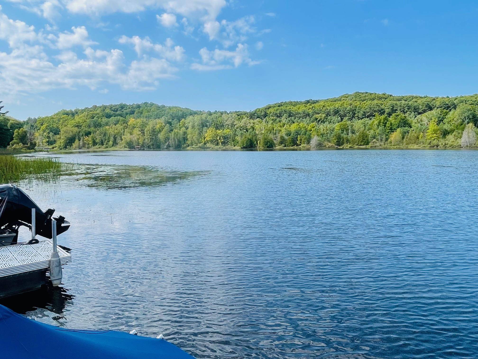 Ellsworth, MI 49729,7227 Rushton RD