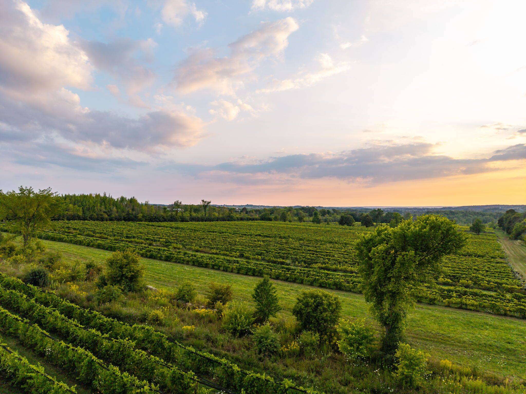 Meaford, ON N0H 1B0,599450 2nd Concession N/A N