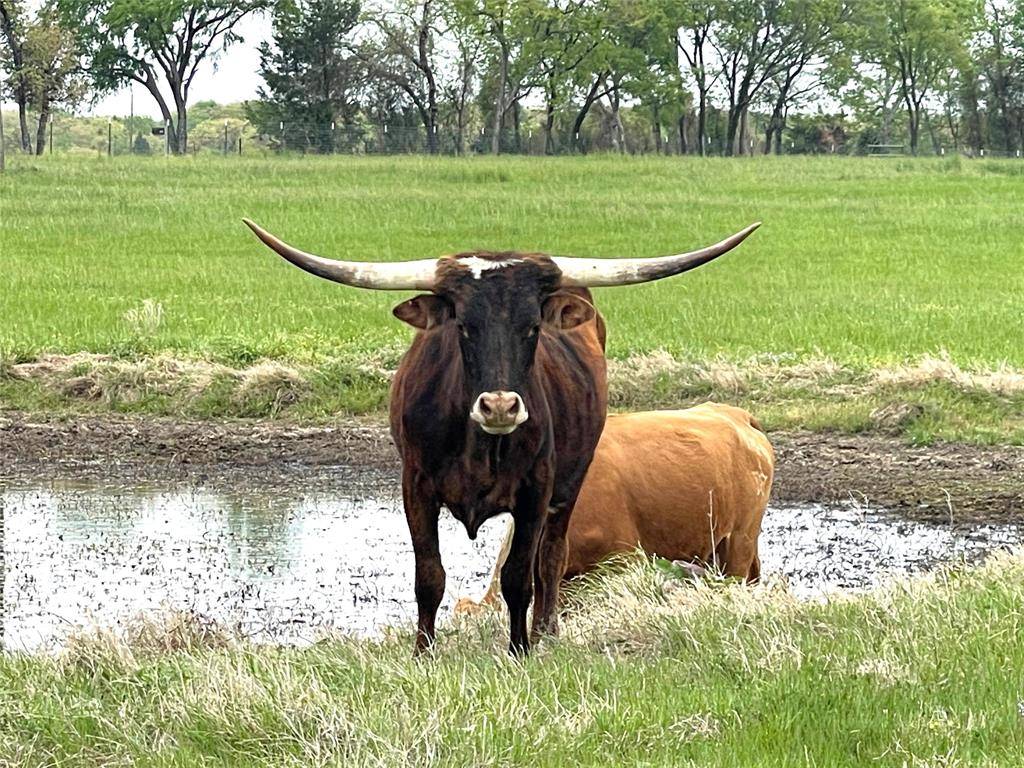 Tioga, TX 76271,TBD Phase 2 Lot 3 Pop Noah Road