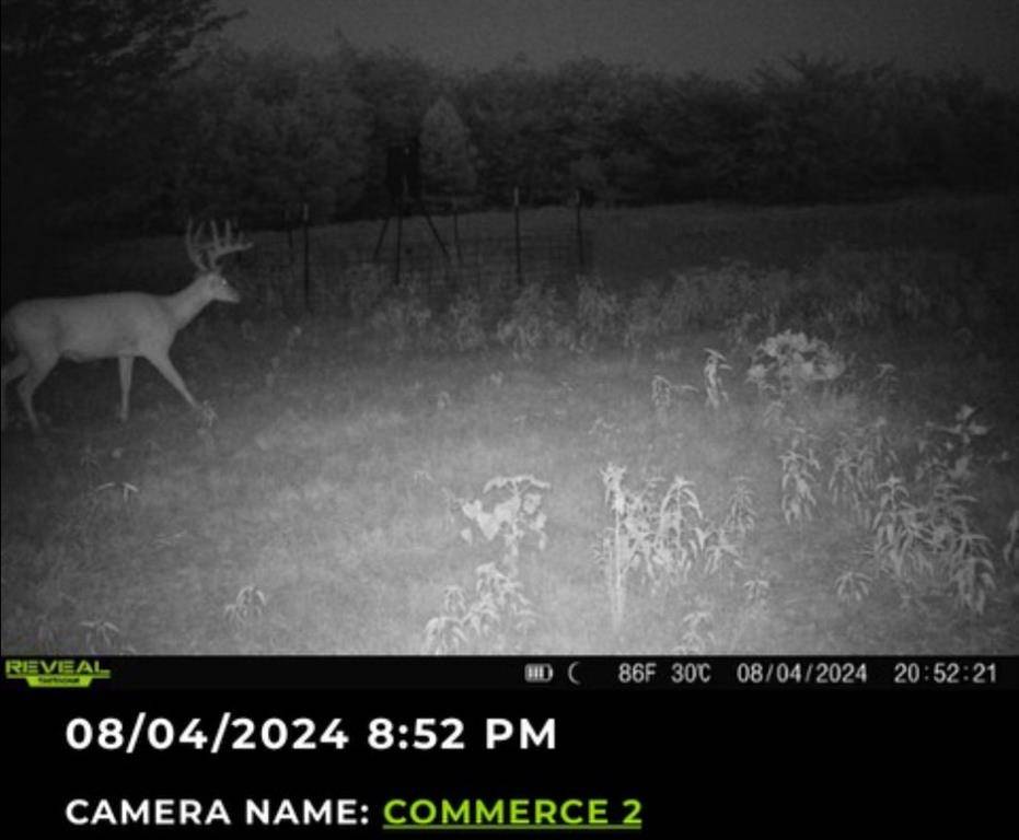 Commerce, TX 75428,113 AC Fm 3218