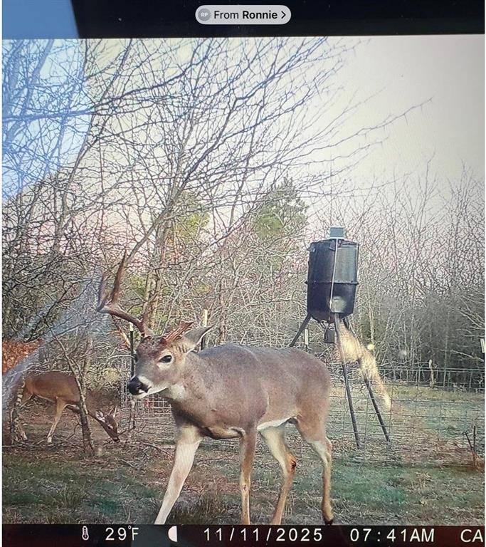 Commerce, TX 75428,113 AC Fm 3218