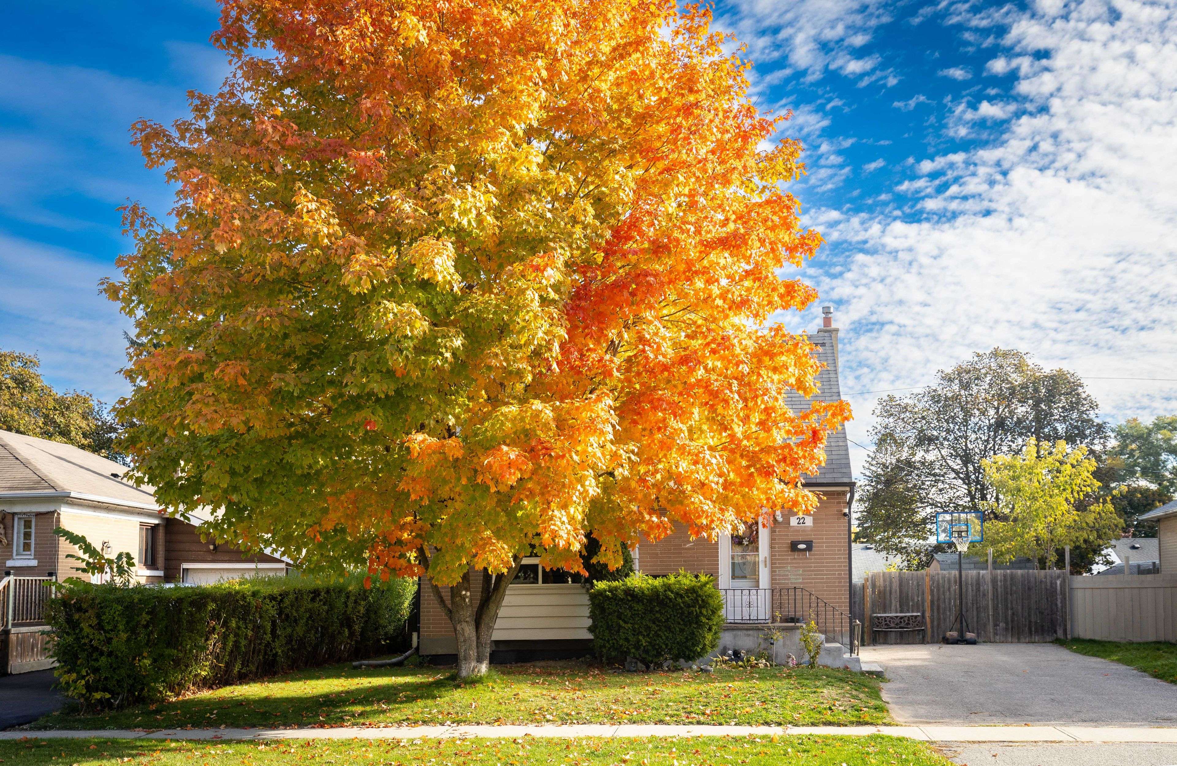 Ajax, ON L1S 2N3,22 Forest RD