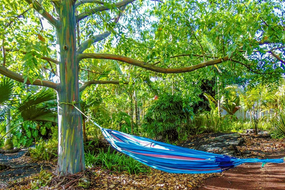 Keaau, HI 96749,15-2003 3RD AVE