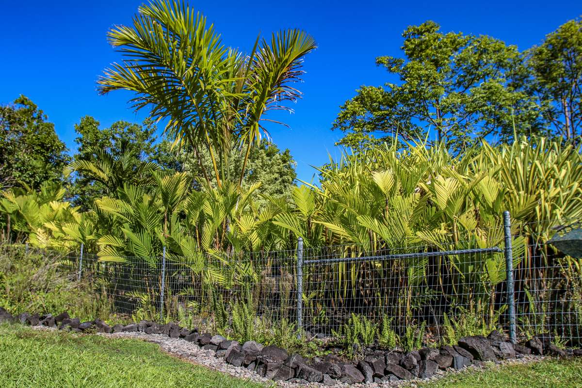 Keaau, HI 96749,15-2003 3RD AVE