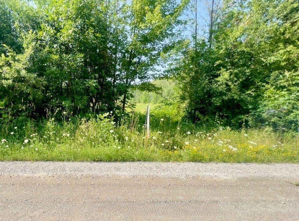 Brock, ON L0K 1A0,Pt Lt 7 Conc 9 N/A