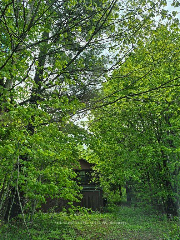 Severn, ON L0K 2B0,3763 Agnew RD