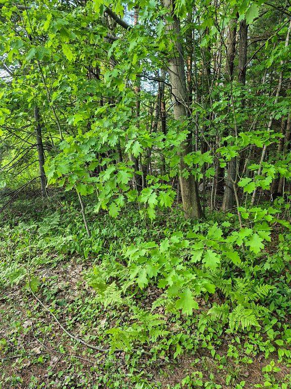 Severn, ON L0K 2B0,3763 Agnew RD