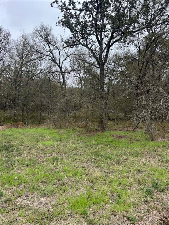 Lott, TX 76656,TBD County Road 387