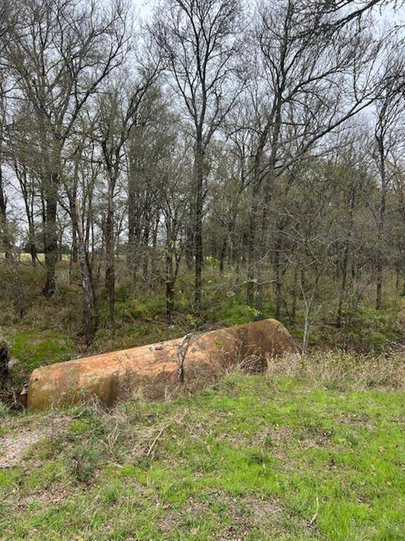 Lott, TX 76656,TBD County Road 387