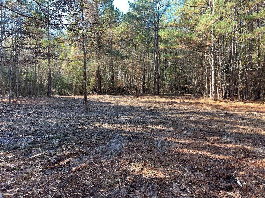 Hughes Springs, TX 75656,TBD FM 130