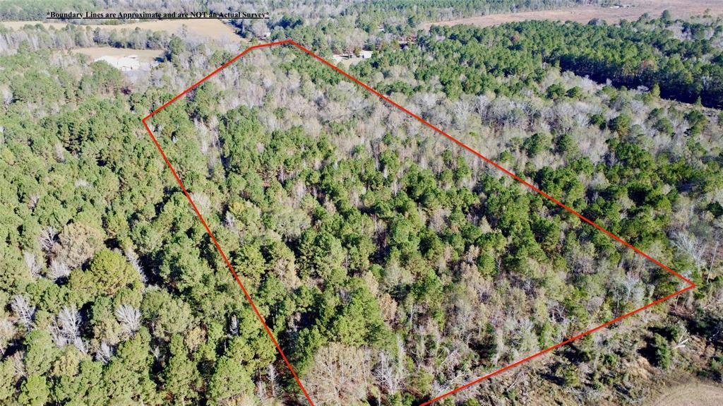 Hughes Springs, TX 75656,TBD FM 130