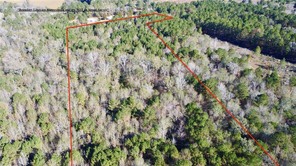 Hughes Springs, TX 75656,TBD CR 2921