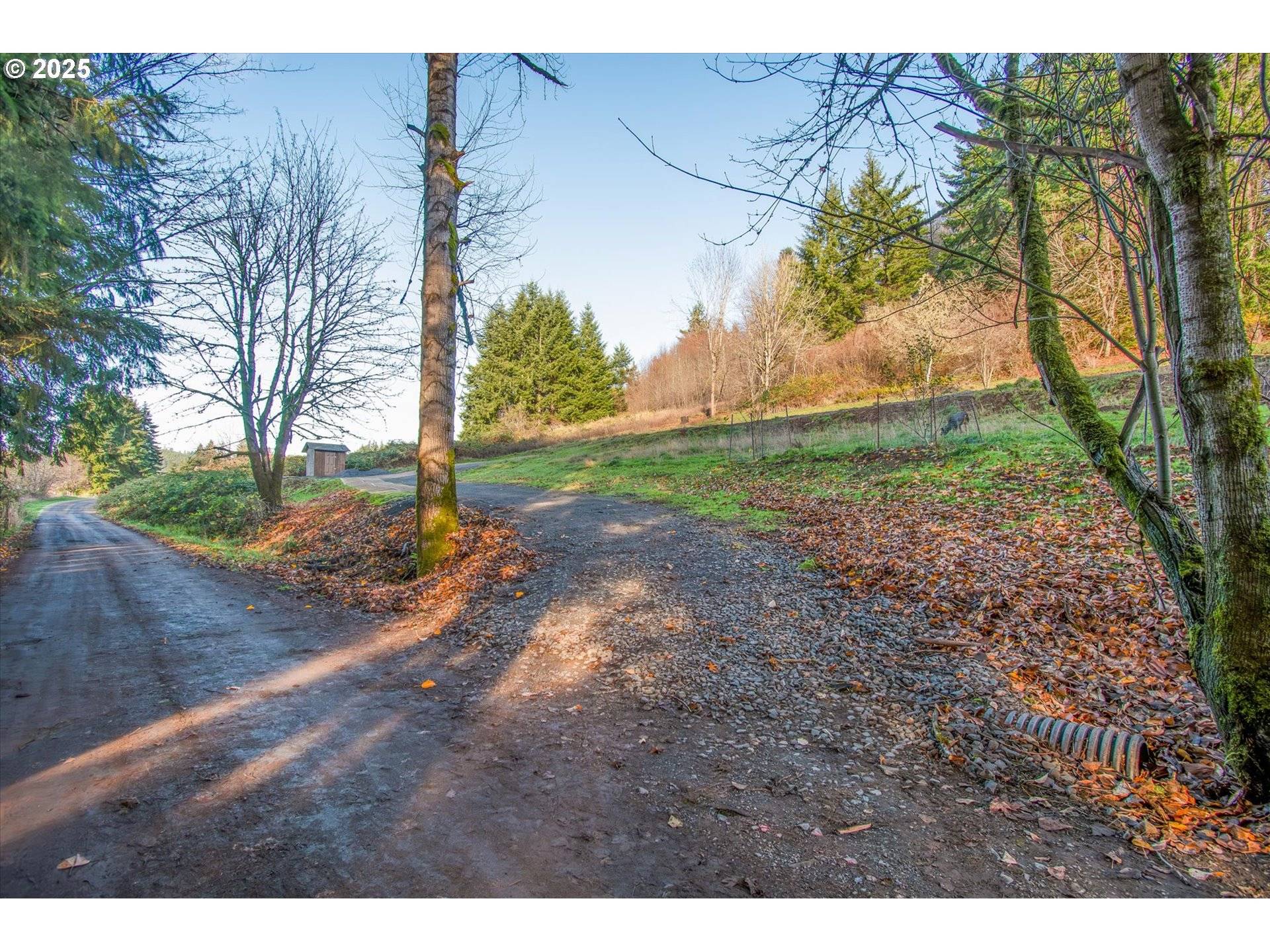 Kelso, WA 98626,110 LENORA LN