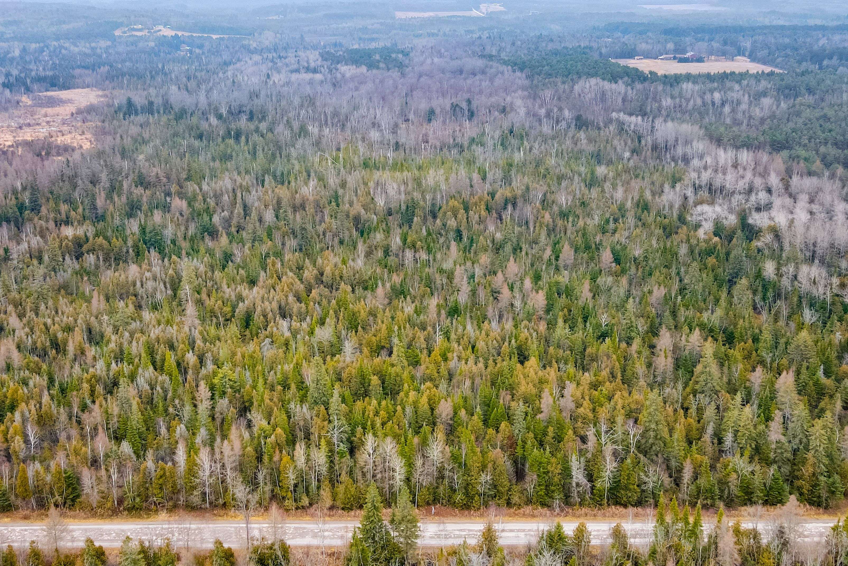 Kawartha Lakes, ON L0A 1K0,0 Ballyduff RD