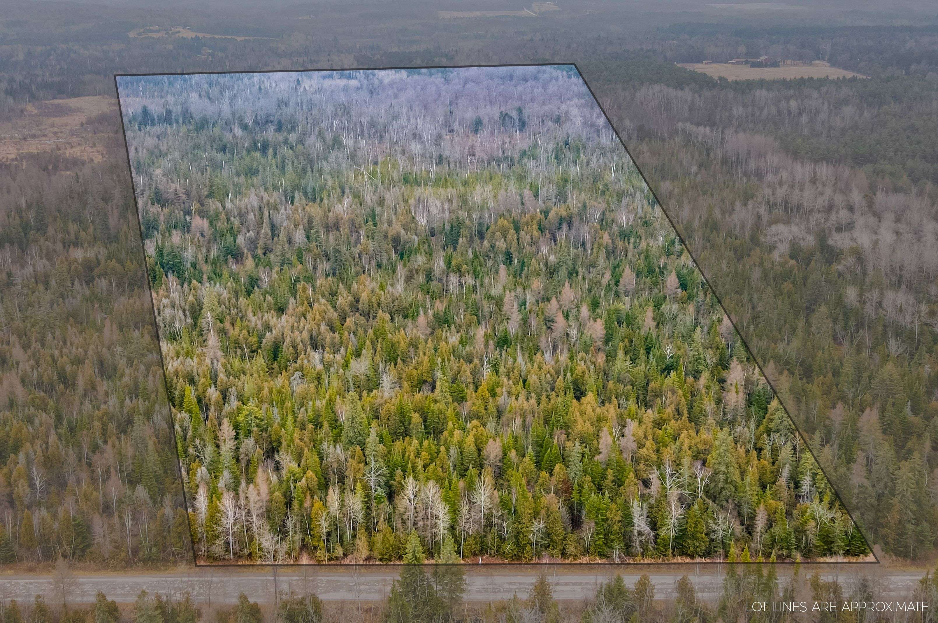 Kawartha Lakes, ON L0A 1K0,0 Ballyduff RD