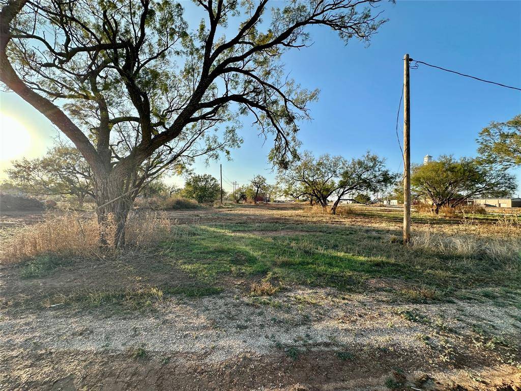 Trent, TX 79561,117 S Main Street