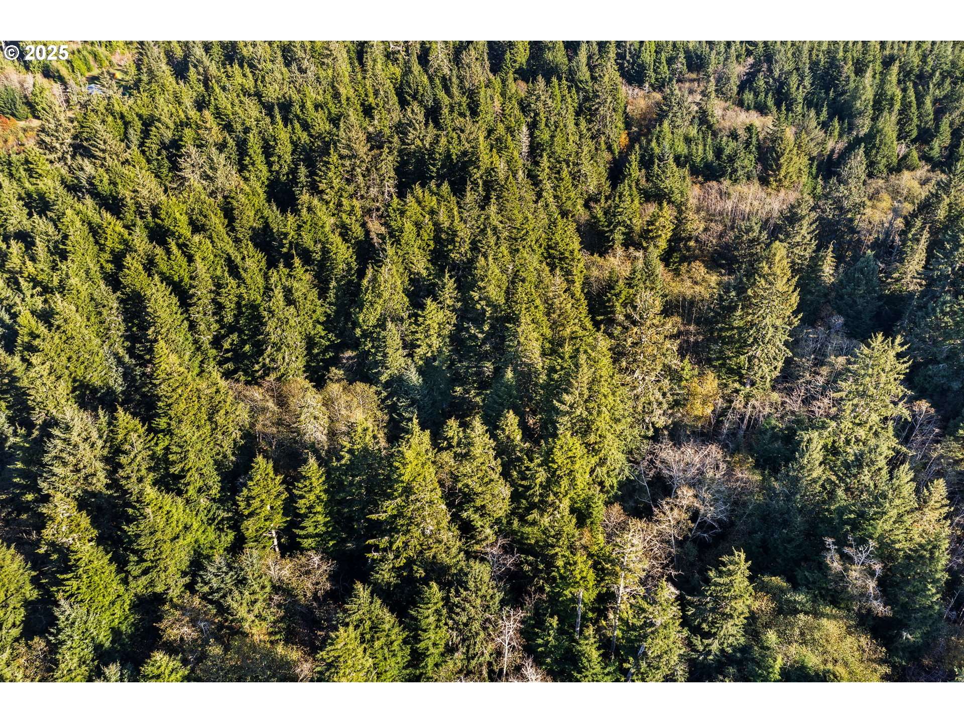 South Bend, WA 98586,Lot 35